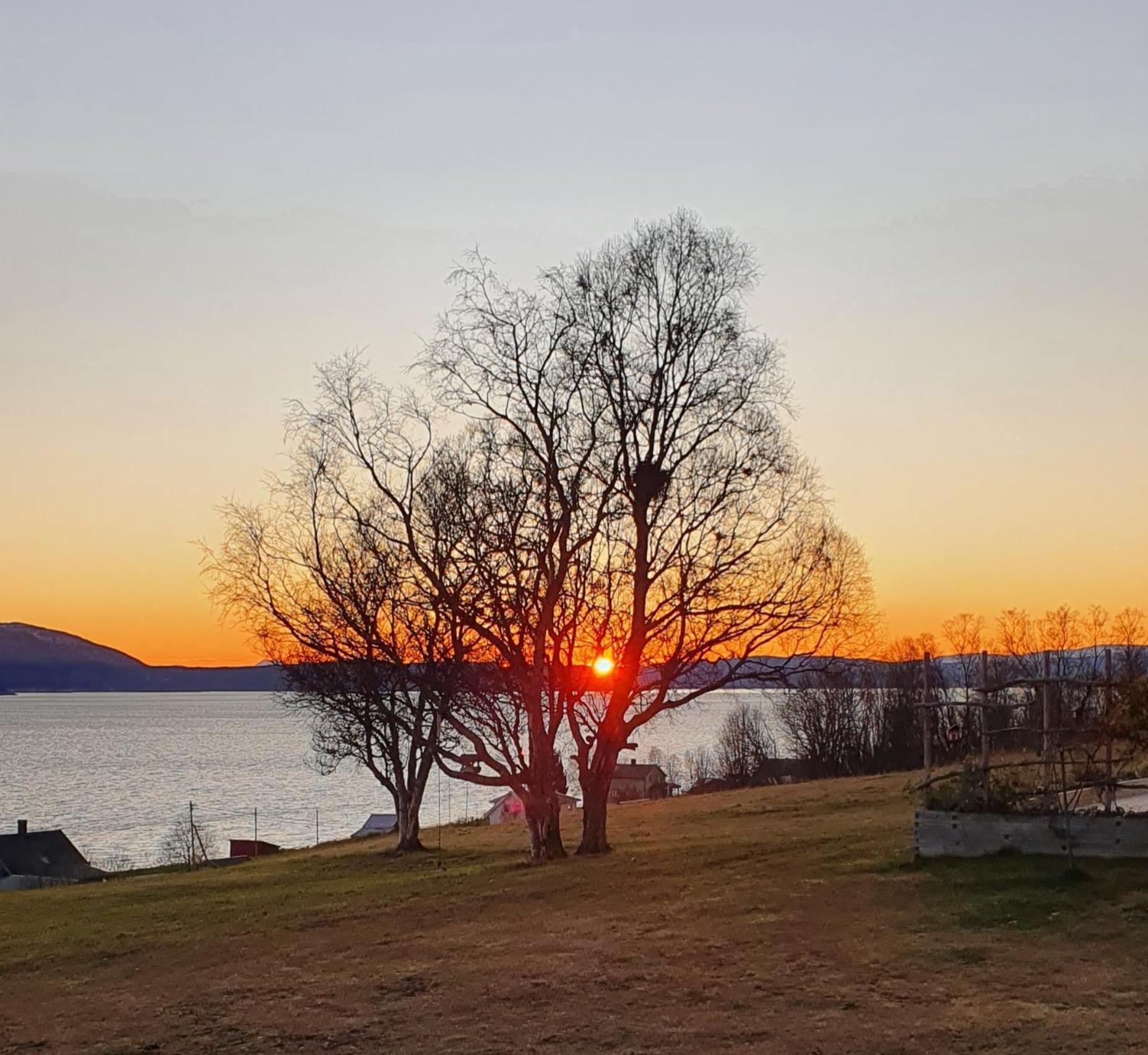 Yggdrasil farmhotel retreat&spa Straumsbukta Eksteriør bilde