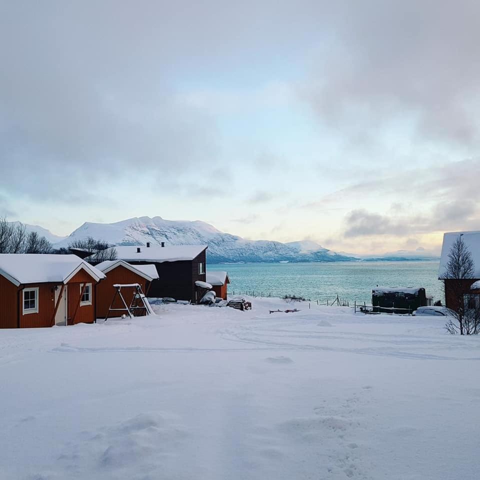 Yggdrasil farmhotel retreat&spa Straumsbukta Eksteriør bilde